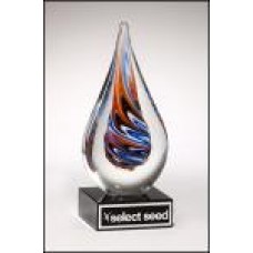  Teardrop Shaped Award